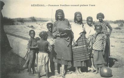 null 12 CARTES POSTALES SENEGAL : Petite Sélection. "La Bénédiction du Bateau de...