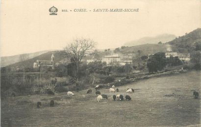 null 117 CARTES POSTALES CORSE : Villes, qqs villages, qqs animations, qqs sites,...