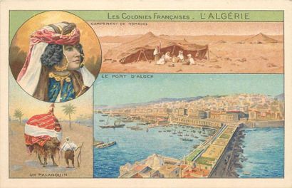 null 12 CARTES POSTALES COLONIES FRANCAISES : Cartes illustrées, éditées par les...