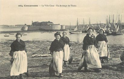 null 14 CARTES POSTALES LA PECHE : Huîtres & Poissons - Bretagne. "3cp-Bélon : Arrivage...