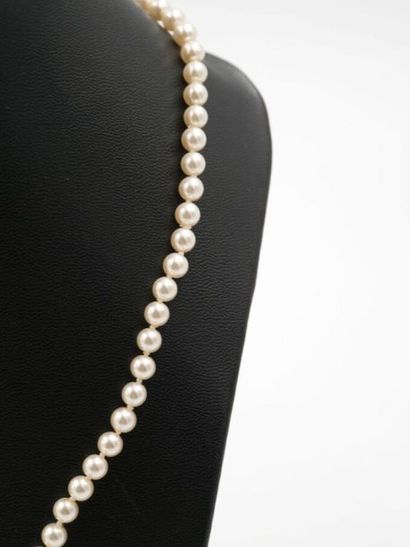null Collier de perles de culture de Majorque. 
L. : 46 cm