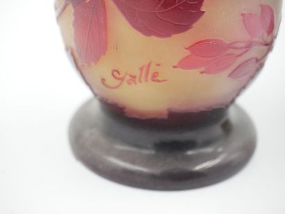 null Etablissements GALLE : 
Vase soliflore en verre double couches à décor végétal...