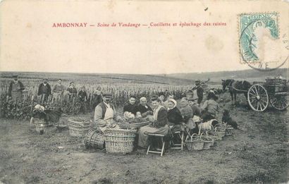 null 8 CARTES POSTALES AGRICULTURE & ALCOOL : Sélection. "Gauville (Somme)-Une Batterie...