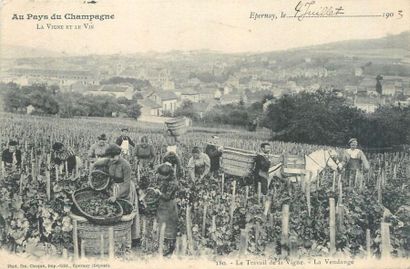 null 8 CARTES POSTALES AGRICULTURE & ALCOOL : Sélection. "Gauville (Somme)-Une Batterie...