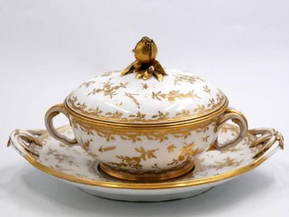 null SEVRES (soft porcelain): Covered
broth and its porcelain handle display with...