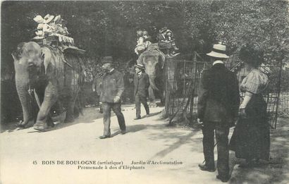 null 14 CARTES POSTALES BOIS DE BOULOGNE : Divers. Dont" Bois de Boulogne-Jardin...