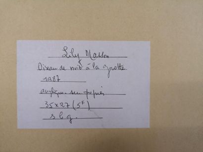null Lily MASSON (1920-2019) :
Oiseau de nuit à la grotte, 1987
Acrylique sur papier,...