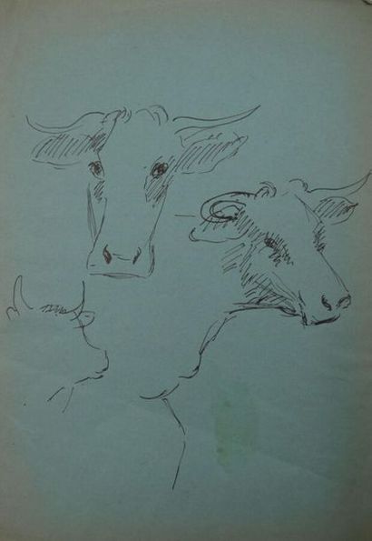 null 20th century school.

Study of Cow Heads.

Black pencil sketch on green leaf.

34...
