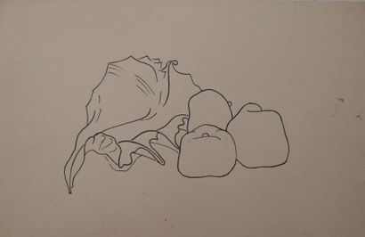 null 20th century school. 2 drawings.

Still life with fruits and shells.

Sketch...