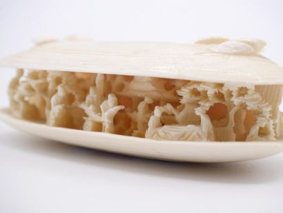 null JAPAN - Meiji period (1868-1912), 

Carved ivory shell, slightly half-open,...