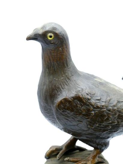 null Pair of pigeons with brown patina on rocaille-style pedestals 

H. : 30.5 cm...