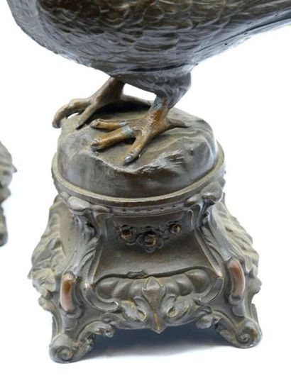 null Pair of pigeons with brown patina on rocaille-style pedestals 

H. : 30.5 cm...