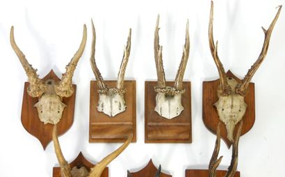 null 9 hunting trophies and massacres of deer or brocade

Some located and dated...