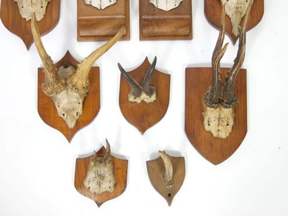 null 9 hunting trophies and massacres of deer or brocade

Some located and dated...