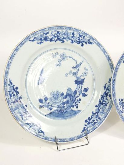 null CHINE : 

Paire d'assiettes en porcelaine à décor en camaïeu bleu d'oiseaux...