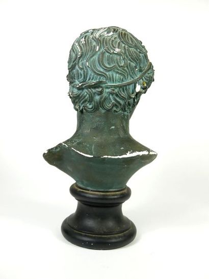 null According to the antique,

Male bust 

Plaster with an antique green patina...
