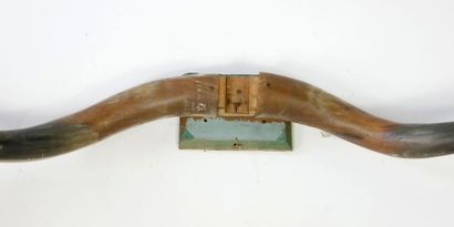 null Pair of bull horn 

63 and 65 cm 



[Removal from storage in Paris XIV]