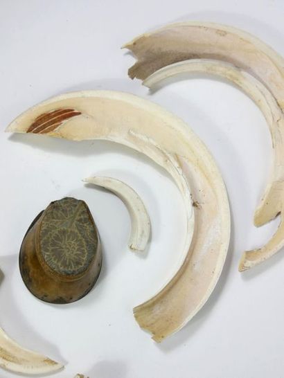 null Pair of warthog tusks 

You attach a horse's shod hoof to it.

6 elements 



[Removal...