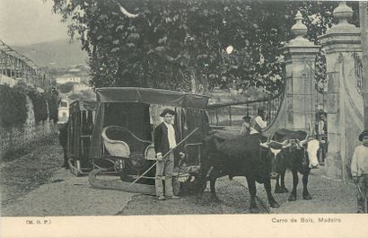 null 12 PORTUGAL POSTCARDS: Small Selection mostly Madeira. "Carro de Bois, Borracheiros,...