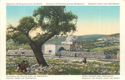 null 20 CARTES POSTALES MOYEN-ORIENT : Libye-1cp, Cisjordanie-2cp, Israël-16cp et...