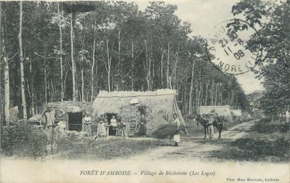 null 14 CARTES POSTALES SCENES & TYPES : Divers. Dont" Forêt d'Amboise-Village de...