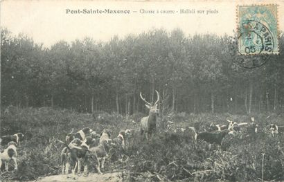 null 40 ROUND HUNTING POSTCARDS: Various Departments and Various Crews. Including"...