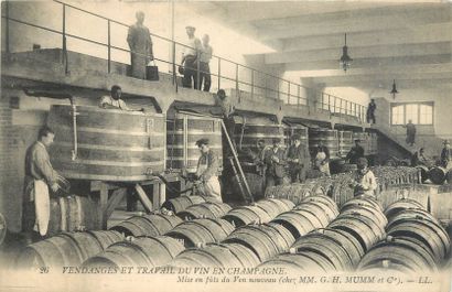 null 34 ALCOHOL POSTCARDS: Sparkling wine and Champagne. Harvest scenes and miscellaneous....