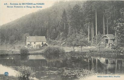 null 94 CARTES POSTALES VOSGES : Villes, qqs villages, qqs animations, qqs sites,...