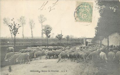 null 27 LIFE & RURAL WORK POSTCARDS: Various Departments. Including" Chelles-Retour...