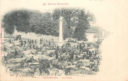 null 11 CARTES POSTALES FOIRES & MARCHES : Province - Aux Bestiaux. "Caraman-Jour...