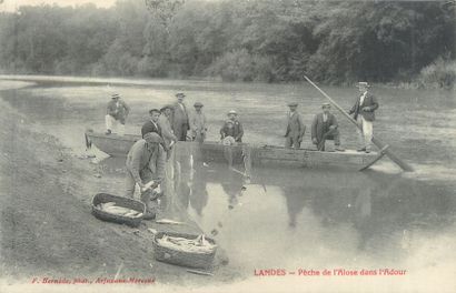 null 11 POST CARDS THE LANDES: Scenes & Types. "Landes-Pêche de l'Alose dans l'Adour,...