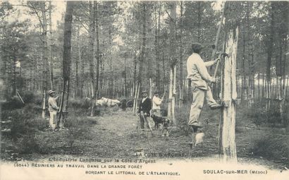 null 18 CARTES POSTALES BOIS et TRAVAIL DU BOIS : Divers Départements. Dont" Salau-Cable...