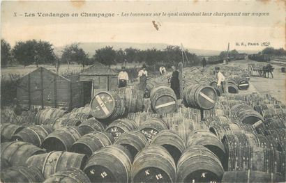 null 34 CARTES POSTALES ALCOOL : Le Mousseux et le Champagne. Scènes de Vendanges...