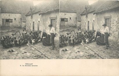 null 29 STEREOSCOPE VIEW POST CARDS: On Paper. Various Publishers. 22cp-Paris, 5-Province...