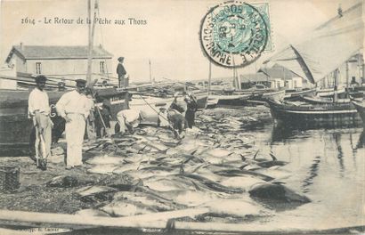 null 10 FISHING POSTCARDS: Bouches du Rhône selection. "288-Cassis-Un coin du Port...