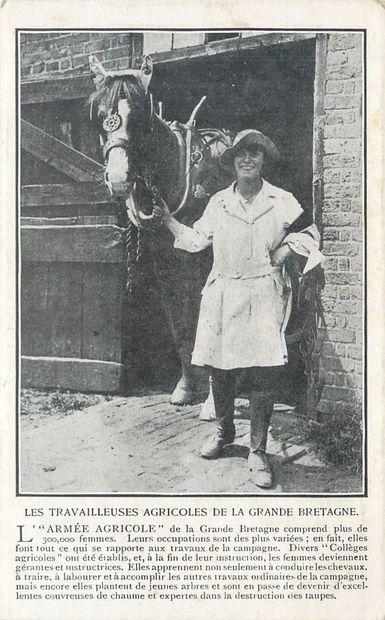null 12 GREAT BRITAIN POST CARDS: Small Selection. "The Farm Labourers of Great Britain,...
