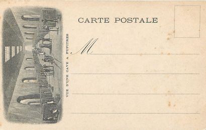 null 26 CARTES POSTALES ALCOOL : Majorité Champagne. Dont" Reims-Hôtel de Ville (carte...