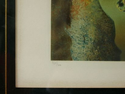 null Salvador DALI (1904 -1989) 

Le cheval fantastique 

Lithographie sur papier,...