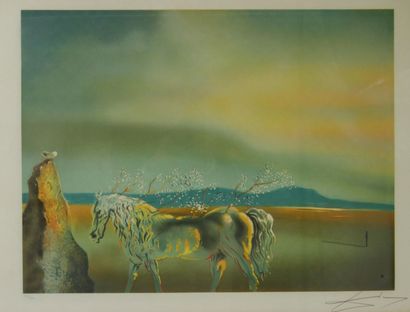 null Salvador DALI (1904 -1989) 

The fantastic horse 

Lithograph on paper, signed...