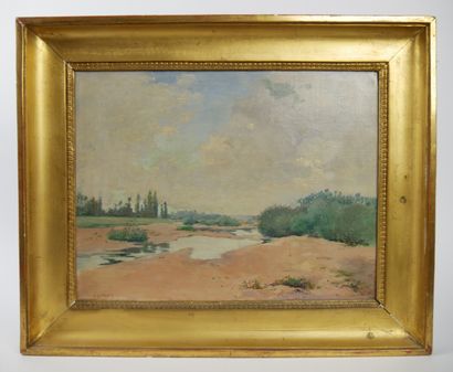 null Albert DARDY (end of 19th century, beginning of 20th century)

The swamps 

Oil...