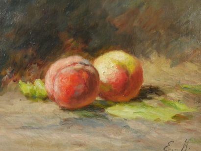 null Euphémie MURATON (1840-1914)

The Peaches

Oil on canvas monogrammed lower right...