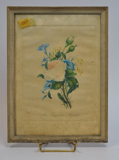 null Lot of two framed pieces including : 

- A color engraving representing the...
