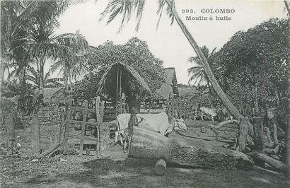 null 81 CARTES POSTALES LES INDES : Colombo-27cpa, Inde-52cpa & Sri Lanka-2cpa. Cartes...