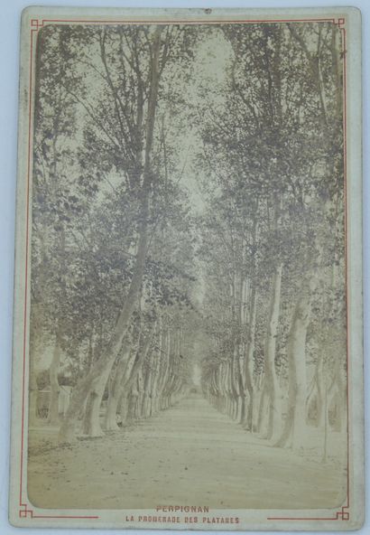 null 11 Photographs from the 19th century.

Alpes Maritimes, Bouches du Rhône, Gard...