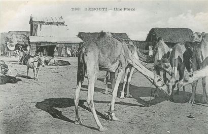null 16 CARTES POSTALES AFRIQUE NOIRE : Djibouti-3cpa et Sénégal-13cpa. Cartes Postales...