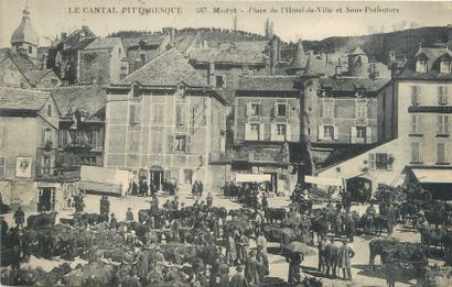 null 63 CANTAL POSTCARDS: Cities, qs villages, qs animations, qs sites, qs general...