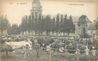 null 294 CALVADOS POSTCARDS: Cities, qqs villages, qqs animations, qqs sites, qqs...