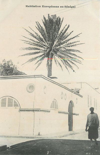 null 16 POST CARDS BLACK AFRICA : Djibouti-3cpa and Senegal-13cpa. Postcards of the...