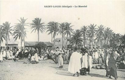 null 16 POST CARDS BLACK AFRICA : Djibouti-3cpa and Senegal-13cpa. Postcards of the...