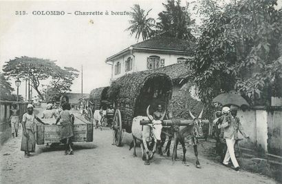 null 81 INDIA POSTCARDS: Colombo-27cpa, India-52cpa & Sri Lanka-2cpa. Postcards of...
